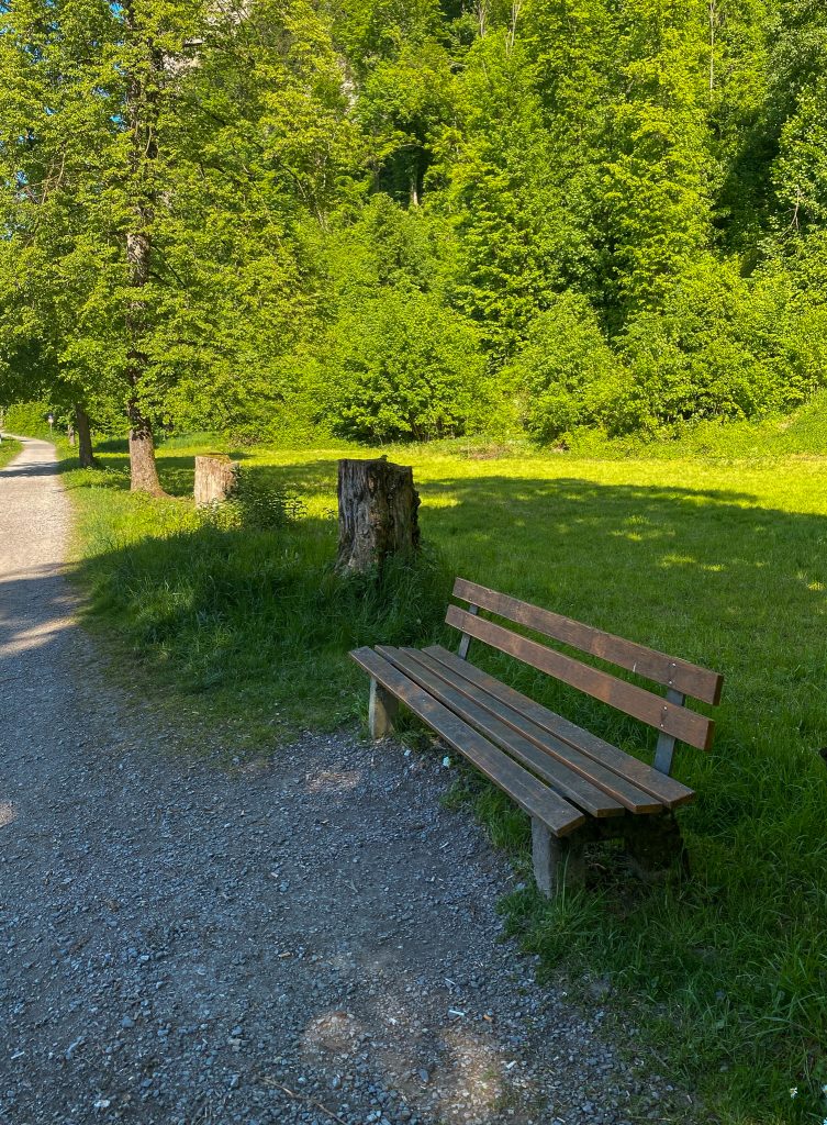 Bank auf dem Tiergartenweg © Frauke Kühn