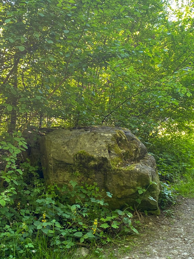 Stein auf dem Tiergartenweg © Frauke Kühn