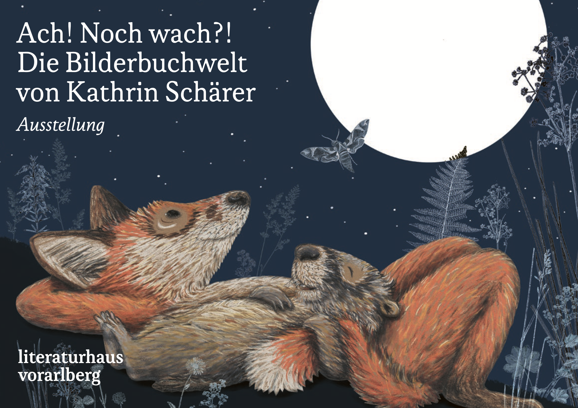 Ach! Noch wach?! Die Bilderbuchwelt von Kathrin Schärer © Kathrin Schärer
